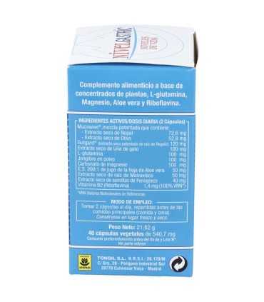 nivelgastric tongil 40 comprimidos