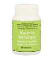 racines terrestres serpens 90 capsulas