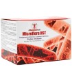 microflora hst hausmann 20 sobres