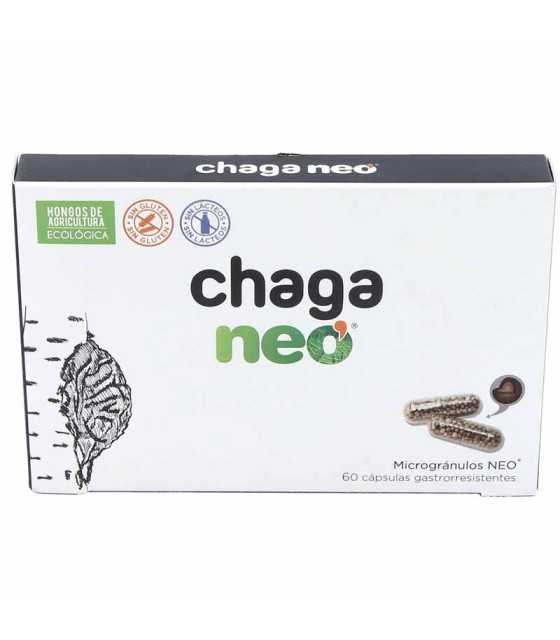 chaga neo 60 capsulas