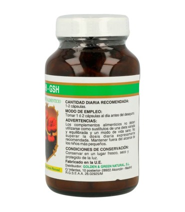 reishi gsh 60 capsulas