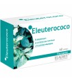 eleuterococo eladiet 60 comprimidos