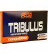 tribulus terrestris mega plus 48 capsulas