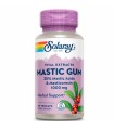 mastic gum solaray 45 capsulas