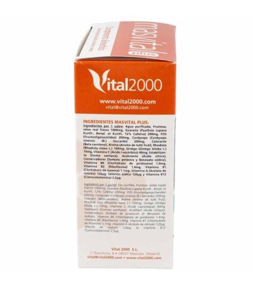 masvital plus vital2000 24 sobres