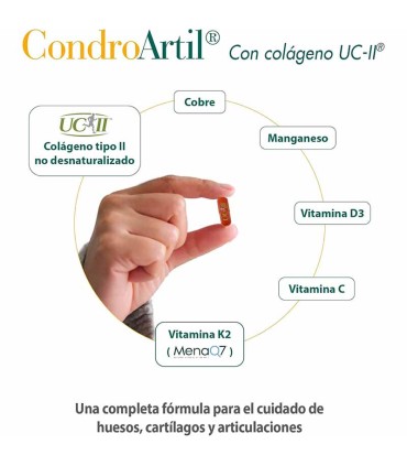 condroartil con colageno uc ii 100 natural 30 capsulas