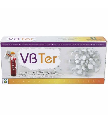 vb ter tegor rompepiedras 20 viales