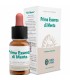 prima essenza de menta forza vitale 10 ml