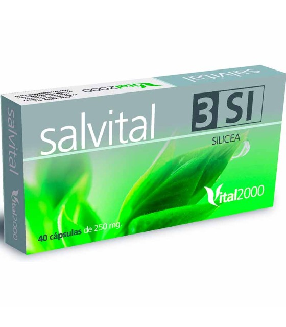 salvital 3 si vital2000 40 capsulas 250 mg