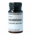 membrana cascara de huevo enzime sabinco 30 capsulas