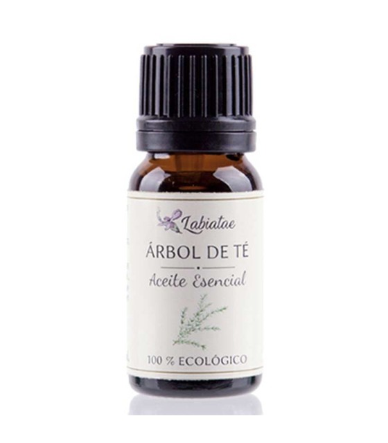 aceite esencial arbol de te labiatae