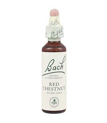 flores bach 25 red chestnut