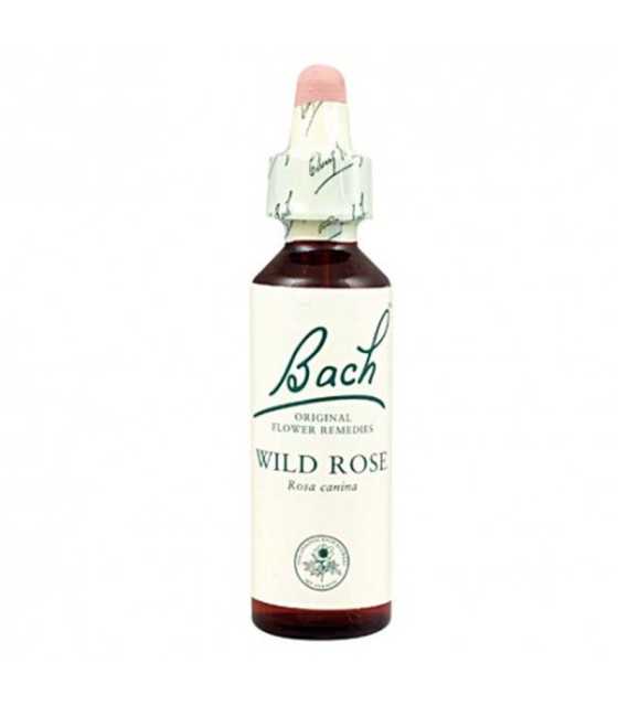 flores bach 37 Wild Rose 20 ml