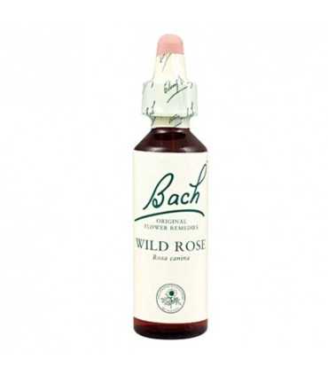 flores bach 37 Wild Rose 20 ml