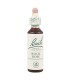 flores bach 26 rock rose 20 ml