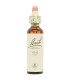 flores bach 32 vine 20 ml