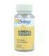adrenal success solaray 60 capsulas