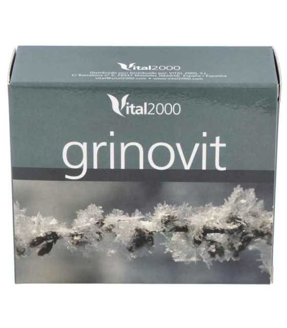 grinovit vital2000 60 comprimidos