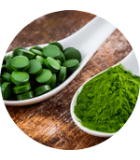 Chlorella