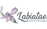 LABIATAE